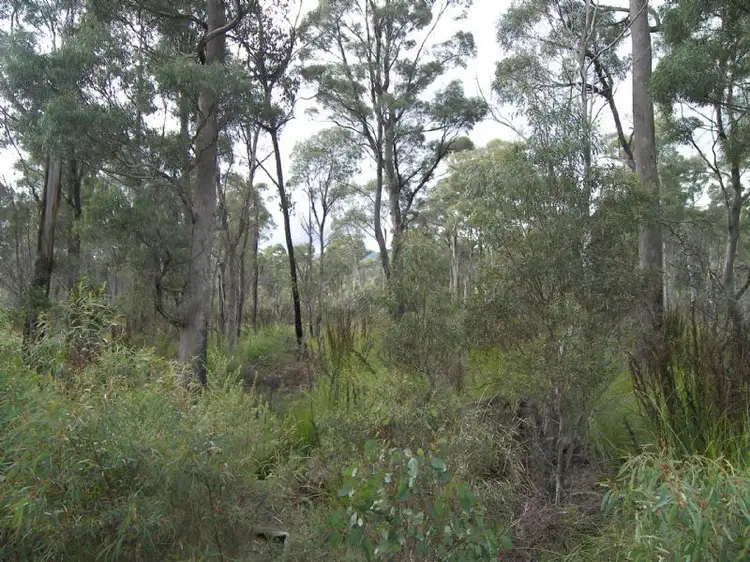 Second view of Homely rural property listing, 442 Prossers Road, Nunamara TAS 7259