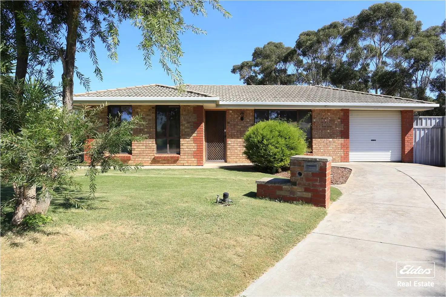 Main view of Homely house listing, 17 Window Road, Willaston SA 5118