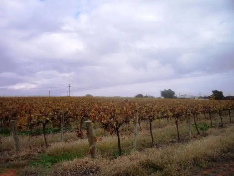 Third view of Homely land listing, Section 749 Kibby Road, Loxton SA 5333