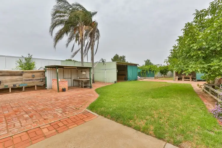 57 Avocado Street