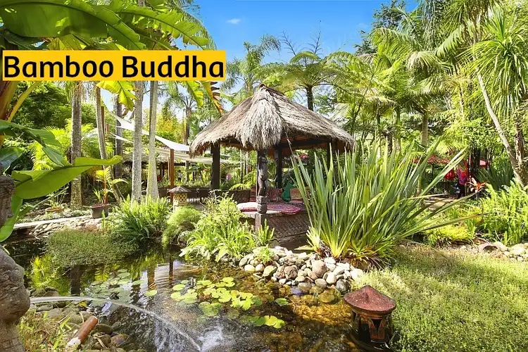 221 Wattle Tree Road, Holgate NSW 2250