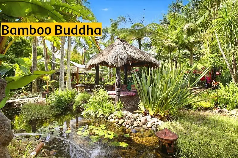 Main view of Homely house listing, 221 Wattle Tree Road, Holgate NSW 2250