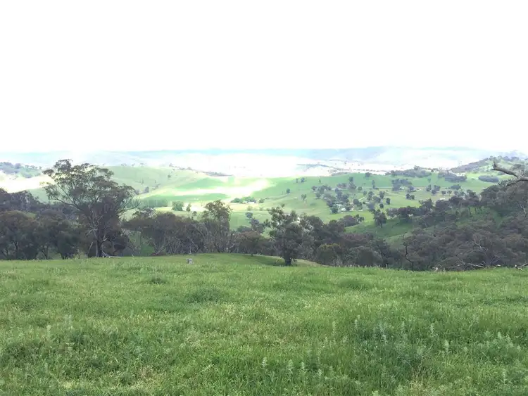 Fifth view of Homely rural property listing, 3938 Snowy Mountains Highway, Adelong NSW 2729