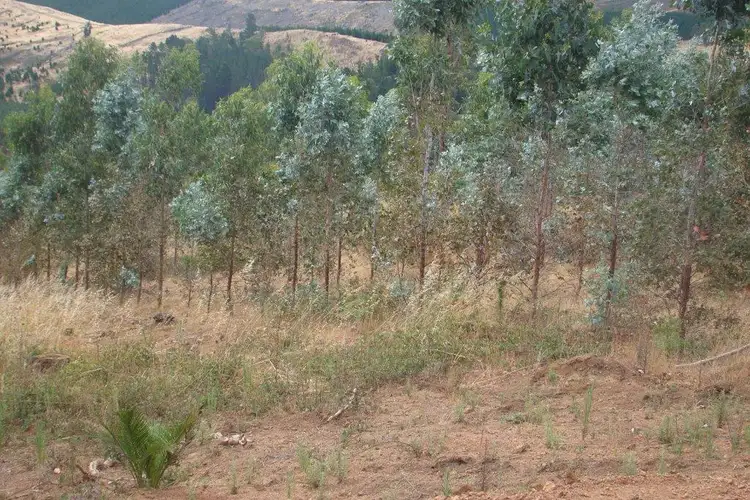 Second view of Homely land listing, 2 Quagamirup Rd, Bridgetown WA 6255