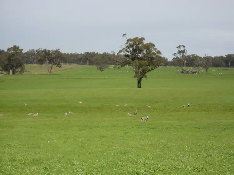 Main view of Homely rural property listing, Lots 234 & 235 Jellicoe Rd, Kendenup WA 6323