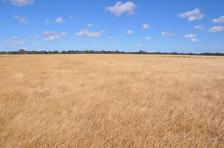 Second view of Homely rural property listing, 770 Reillys Pit Rd, Wunghnu VIC 3635