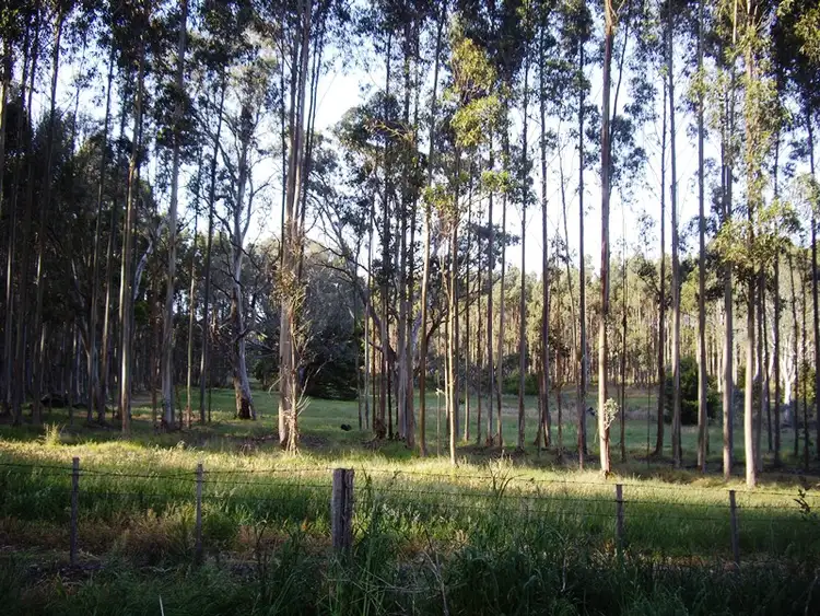Fourth view of Homely rural property listing, - Springbank Road, Casterton VIC 3311
