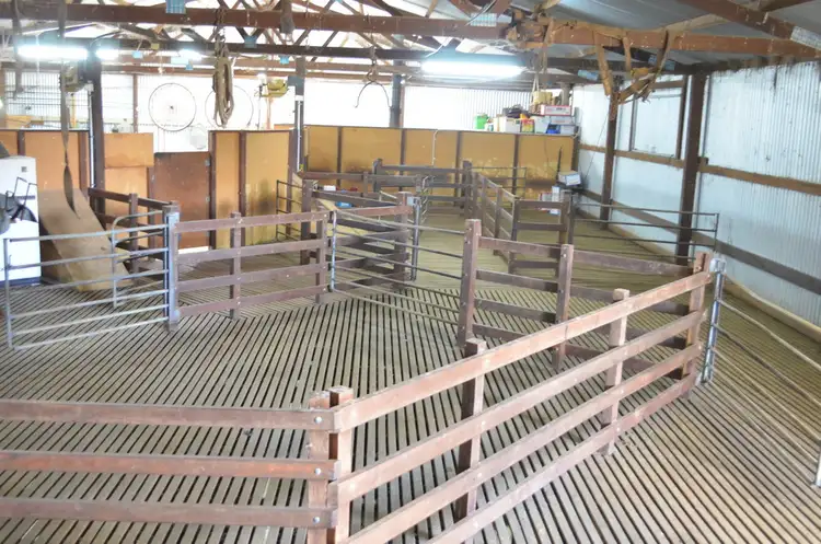 Fifth view of Homely rural property listing, 144 Taratap Road, Kingston Se SA 5275