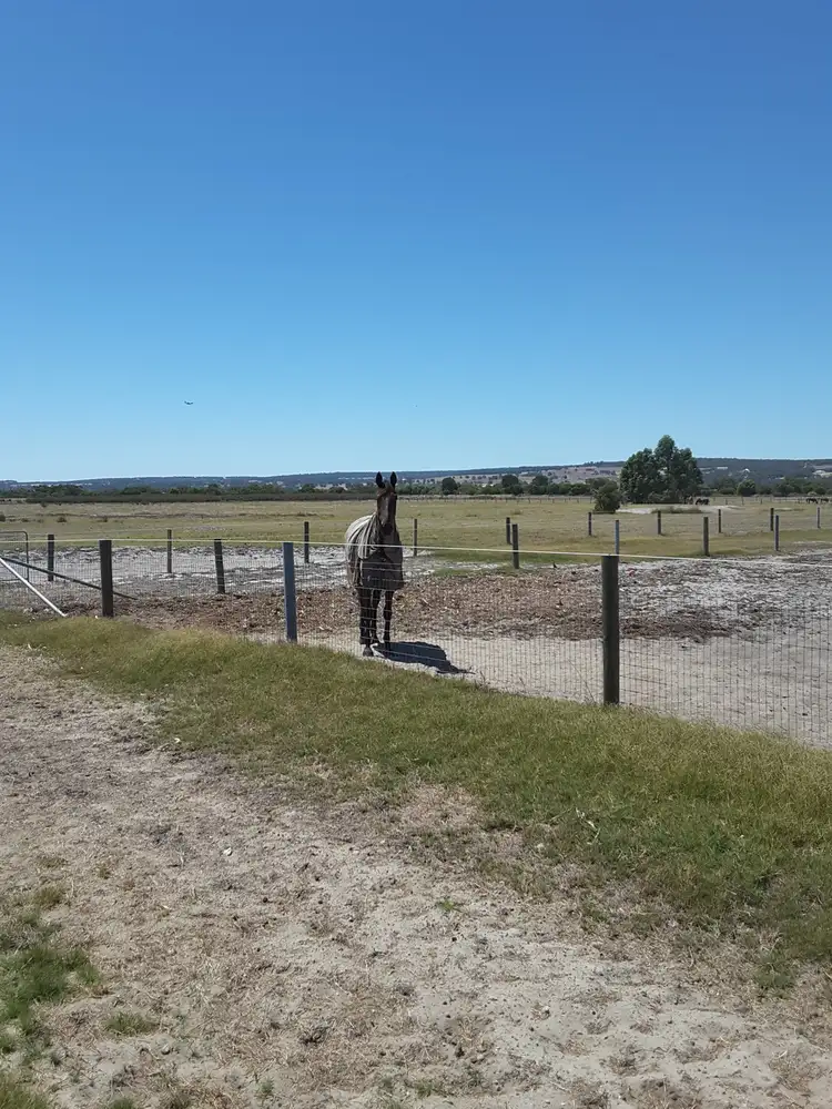 Fifth view of Homely rural property listing, 46 GASTON ROAD, Bullsbrook WA 6084