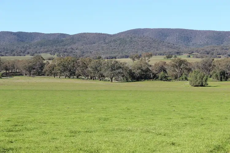 Sixth view of Homely rural property listing, 1520 Loombah Road, Yeoval NSW 2868