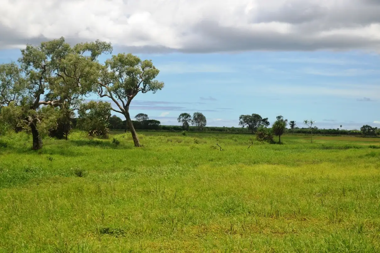 Main view of Homely rural property listing, Address available on request