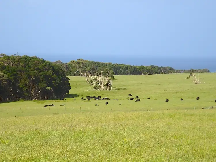 Seventh view of Homely rural property listing, 113 BOLD HEAD ROAD, King Island TAS 7256