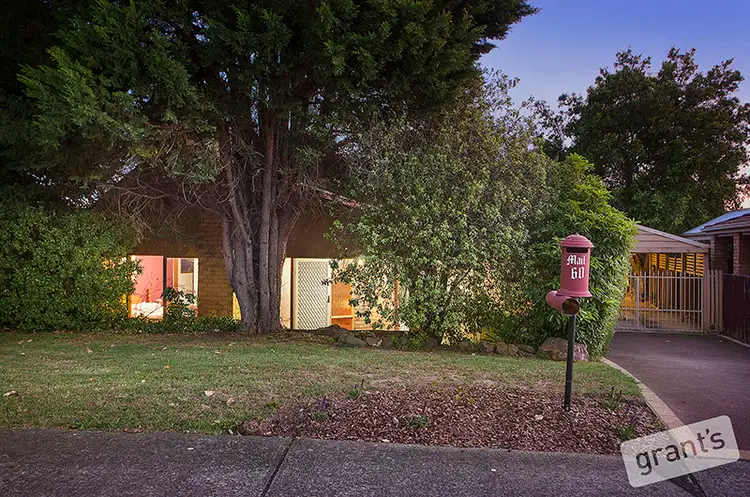 Main view of Homely house listing, 60 Lodge Crescent, Berwick VIC 3806