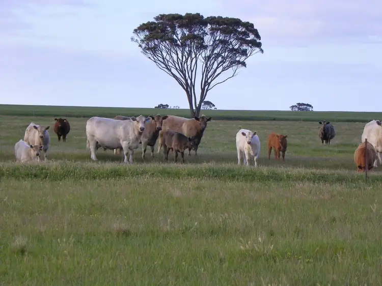 'Tyandra' 3000 Rabbit Proof Fence Road, Pingrup WA 6343