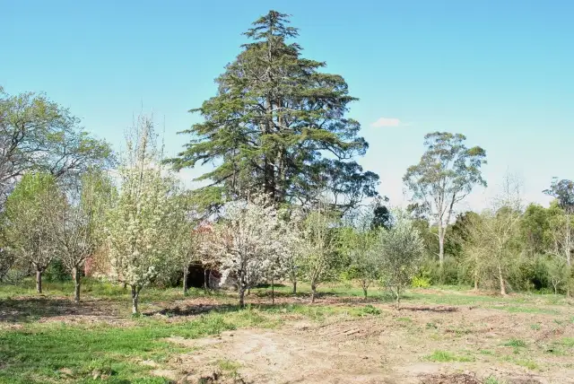 Fifth view of Homely land listing, Lot 84 Illawarra Highway, Moss Vale NSW 2577