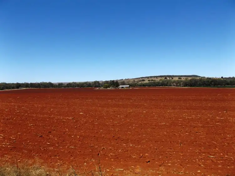 Second view of Homely rural property listing, 36 Wellers Road, Wooroolin QLD 4608