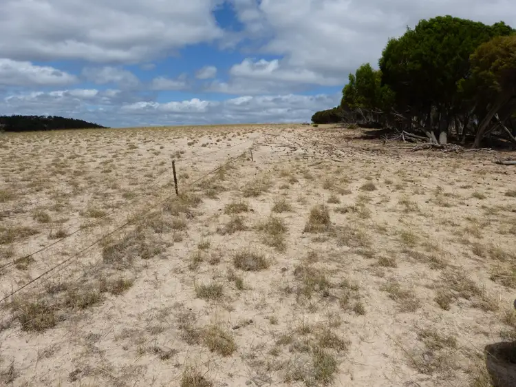 Sixth view of Homely rural property listing, 1845 Pinnaroo-Bordertown Rd, Pinnaroo SA 5304