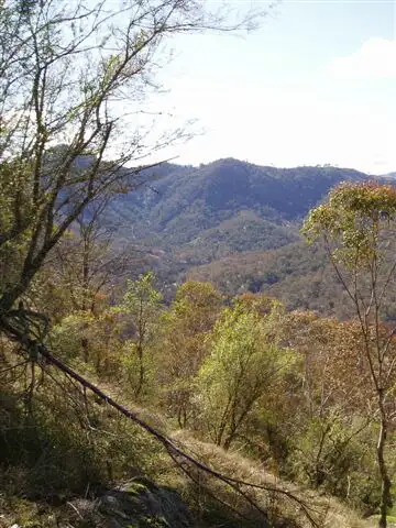Second view of Homely land listing, 536 Black Jerry Ridge Rd, Megalong NSW 2785