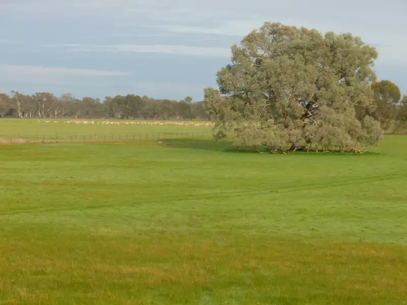 Main view of Homely rural property listing, "Jacka" Jacka Lane, Holbrook NSW 2644