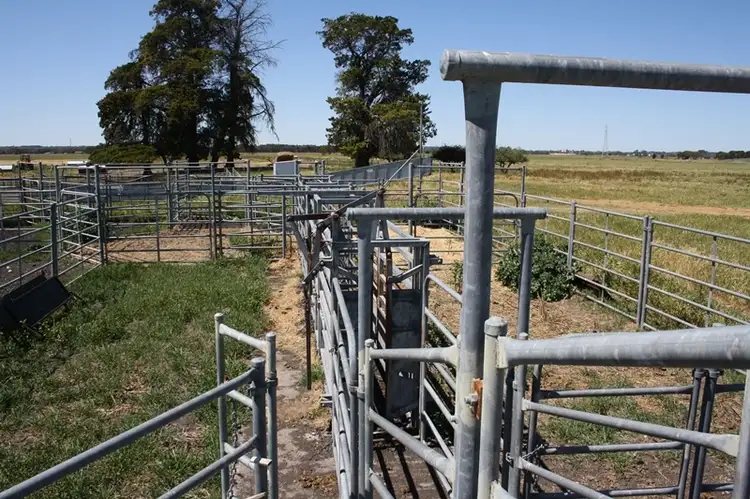 Sixth view of Homely rural property listing, Lot 100 Donoghues Road, Naracoorte SA 5271