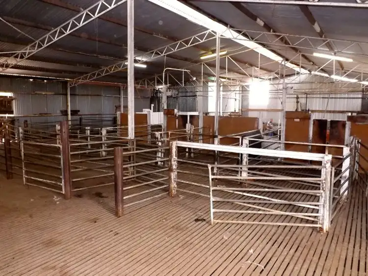 Seventh view of Homely rural property listing, Sec 24-31 Flinders Highway, Smoky Bay SA 5680