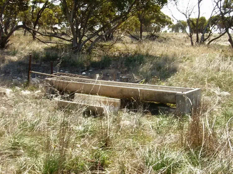 Third view of Homely rural property listing, Section 425 KIANDRA ROAD, Lipson SA 5607