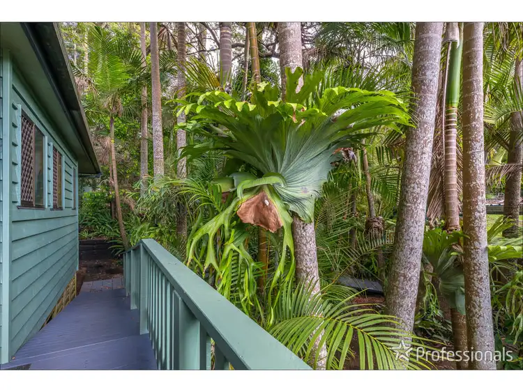 Seventh view of Homely house listing, 5 Kinabalu Drive, Tamborine Mountain QLD 4272