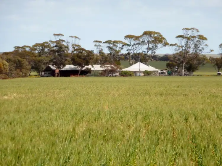 Third view of Homely rural property listing, 2872 Mollerin Rock South Rd, Lake Margarette WA 6475