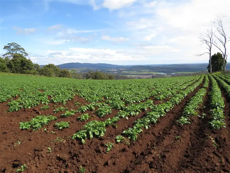 Fourth view of Homely rural property listing, Lot 8 Maloneys Road, Sunnyside TAS 7305