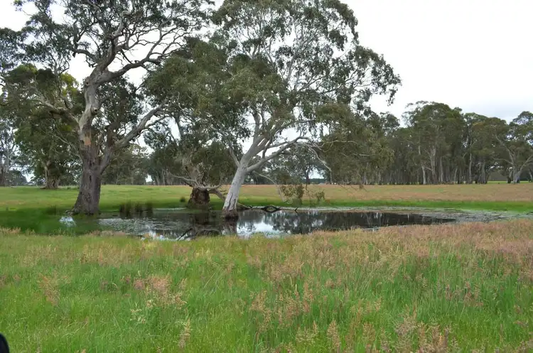 Third view of Homely rural property listing, Sec 218 Comaum School Road, Penola SA 5277