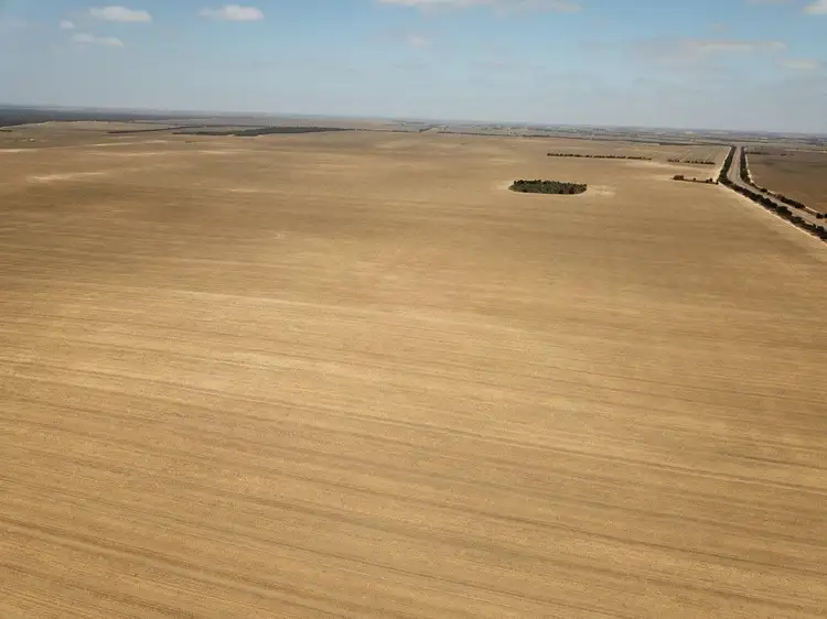 Fifth view of Homely rural property listing, 'Alunga' Lots 8445 & 10948 Balla-Whelarra Road, Ogilvie WA 6535