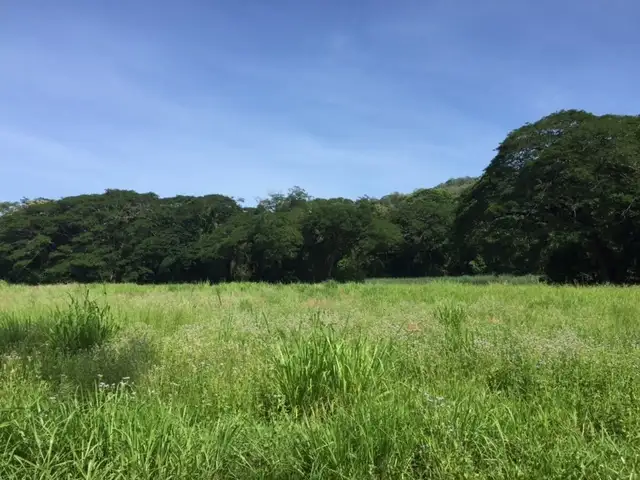 Sixth view of Homely land listing, Lot 38 Connolly Road, Mowbray QLD 4877