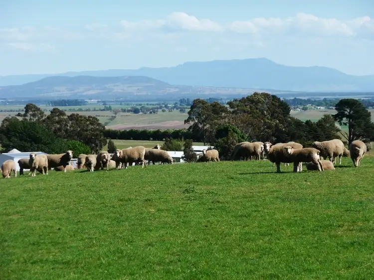Seventh view of Homely rural property listing, 183 Egerton Road, White Hills TAS 7258