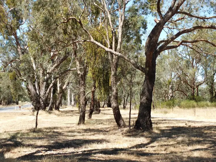 Fifth view of Homely rural property listing, 156 Stawell-Avoca Rd, Moonambel VIC 3478