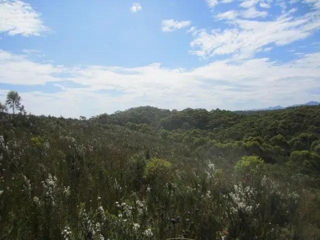 Third view of Homely land listing, 0 Henty Road, Zeehan TAS 7469