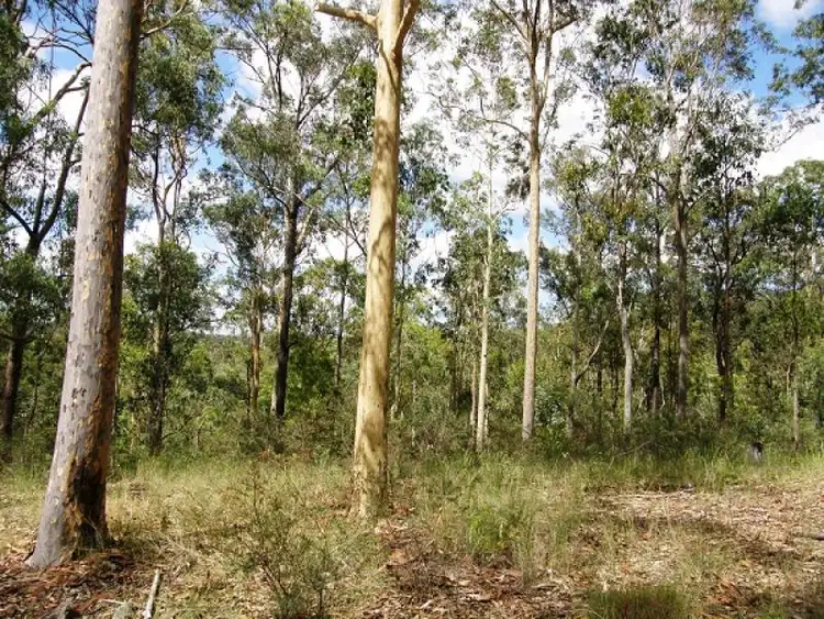 Sixth view of Homely rural property listing, 2541 Gwydir Highway, Ramornie NSW 2460