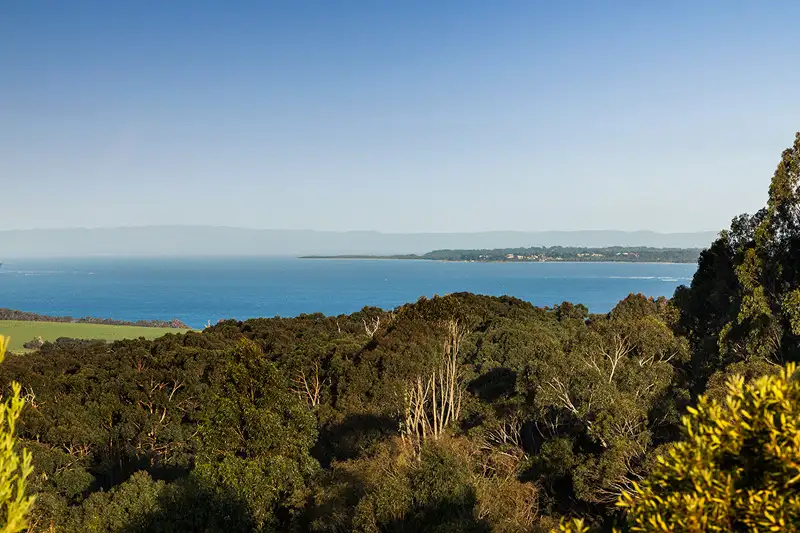 Main view of Homely rural property listing, 10 Hillcrest Road, Shoreham VIC 3916
