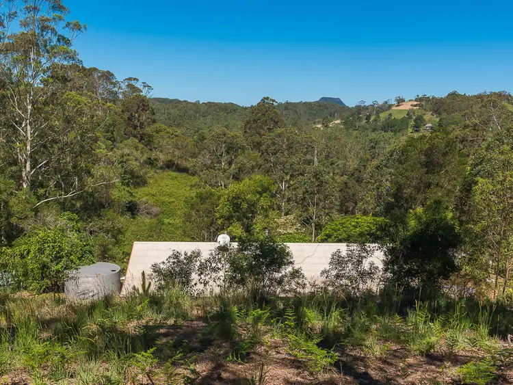 Main view of Homely house listing, 195 Top Forestry Road, Ridgewood QLD 4563