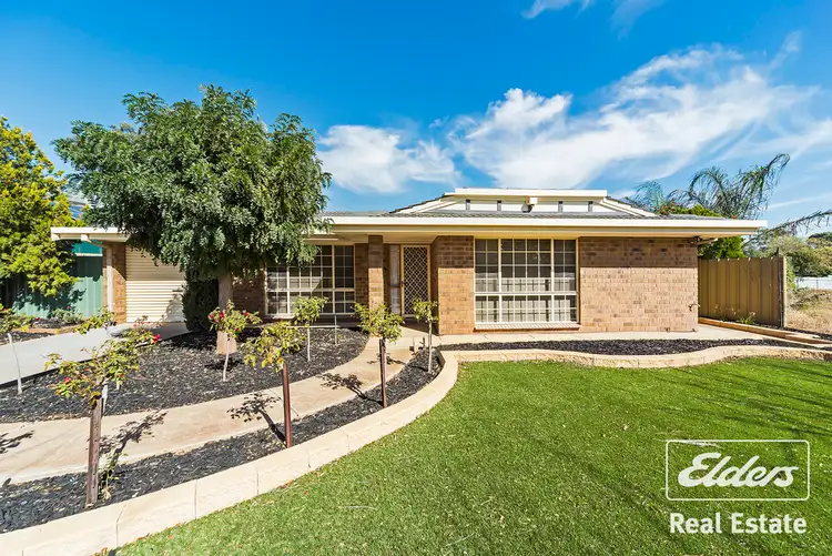 Main view of Homely house listing, 24 Rau Avenue, Evanston SA 5116