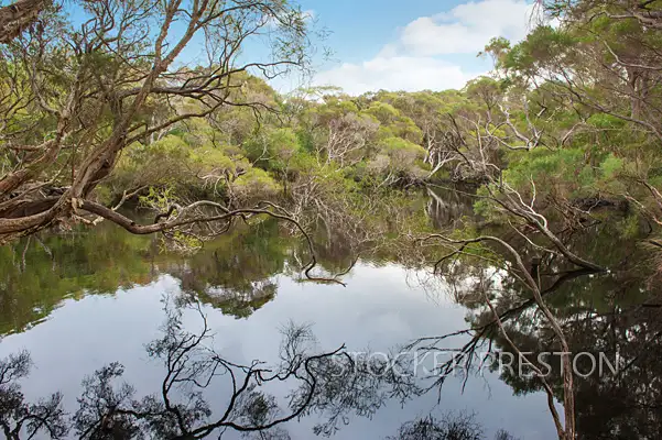 Fifth view of Homely rural property listing, 50 Coostien Road, Scott River WA 6288