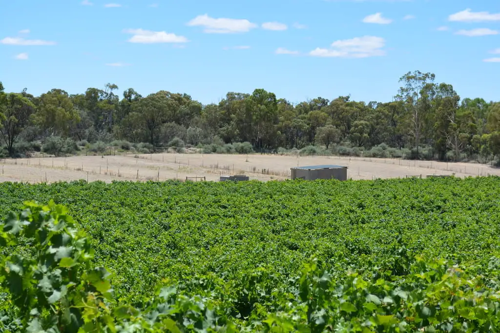 Main view of Homely rural property listing, 134 Old Wentworth Road, Yelta VIC 3505