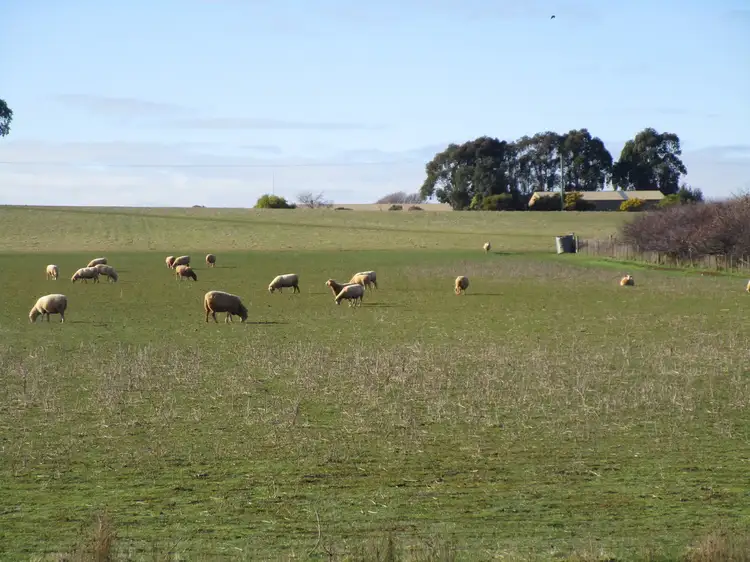 Third view of Homely rural property listing, 295 Palmers Road, Latrobe TAS 7307