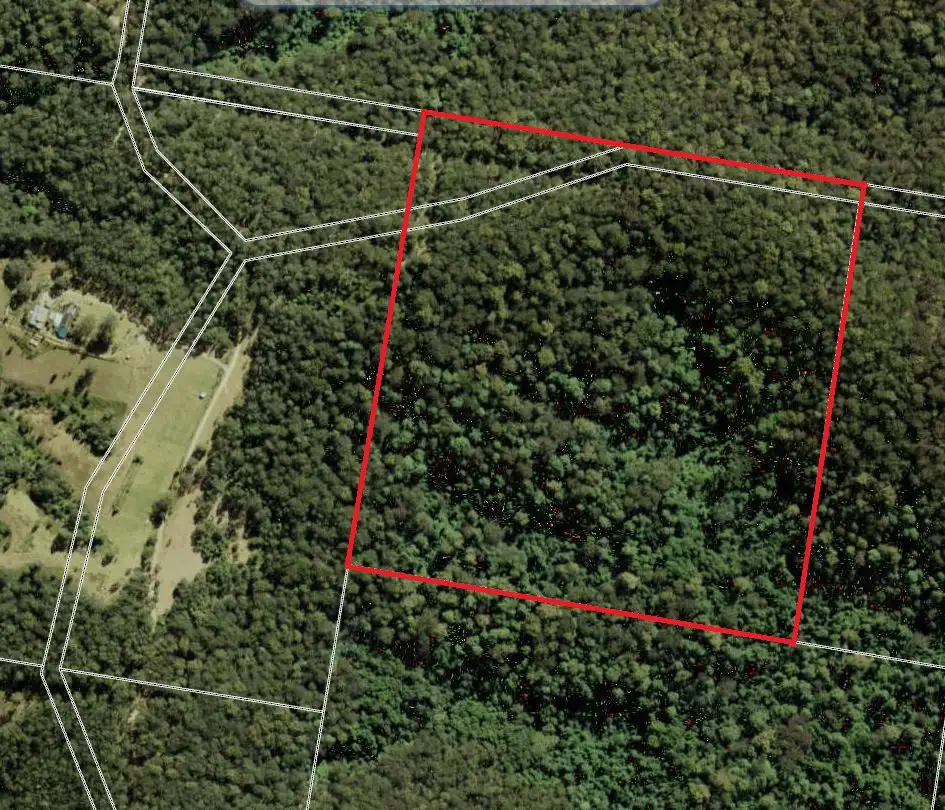 Main view of Homely rural property listing, Lot 225 Comboyne Road, Byabarra NSW 2446