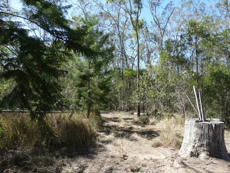Seventh view of Homely rural property listing, Lot 101 Mollenhagens Road, Rosedale QLD 4674