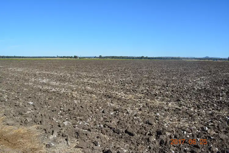 Seventh view of Homely rural property listing, 466 Wheatlands Loop Rd, Wondai QLD 4606