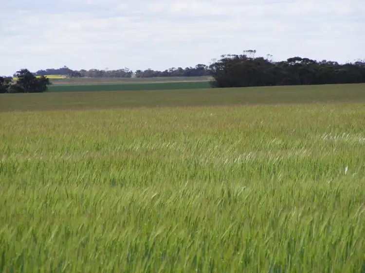 Main view of Homely rural property listing, 113 Monssen Road, Rainbow VIC 3424