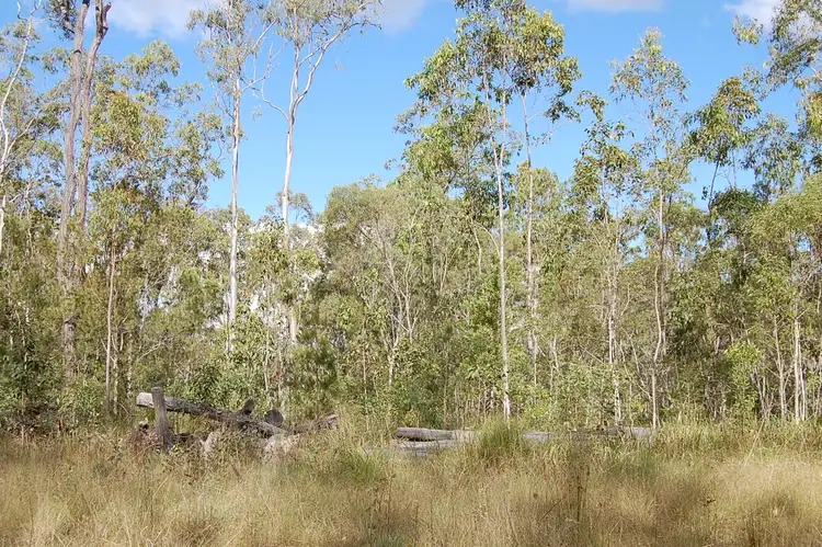 Second view of Homely rural property listing, Lot 69 Banyabba Railway Station Road, Gibberagee NSW 2469