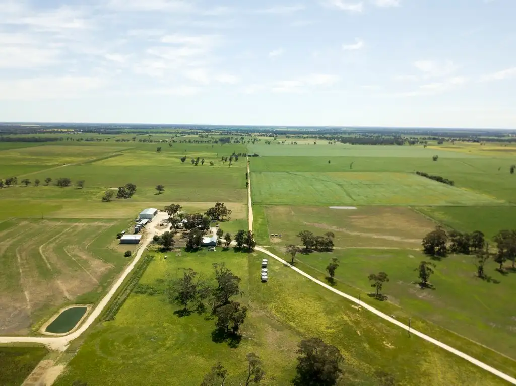 Main view of Homely rural property listing, 828 Padthaway Road, Mundulla SA 5270