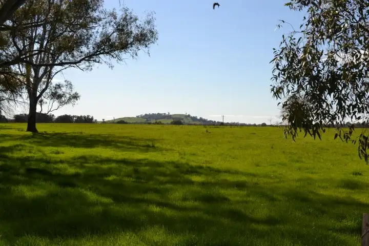 Second view of Homely rural property listing, 779 Dobsons Rd, Benalla VIC 3673