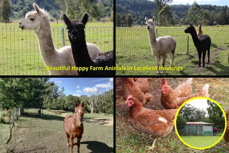 Fourth view of Homely house listing, 170 Oxbow Road, Cawongla NSW 2474